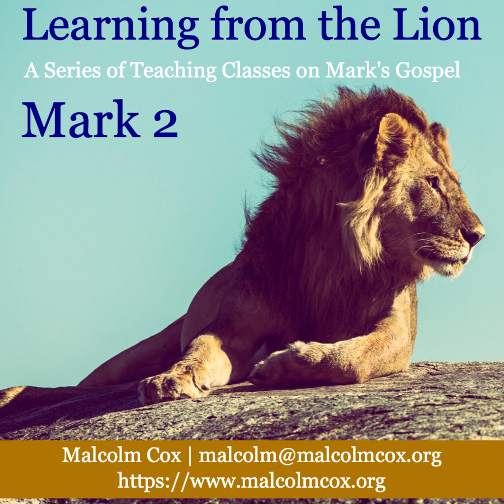 learning-from-the-lion-mark-2-malcolm-cox-malcolm-cox